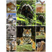 Фотоколлаж 60х90 верт 